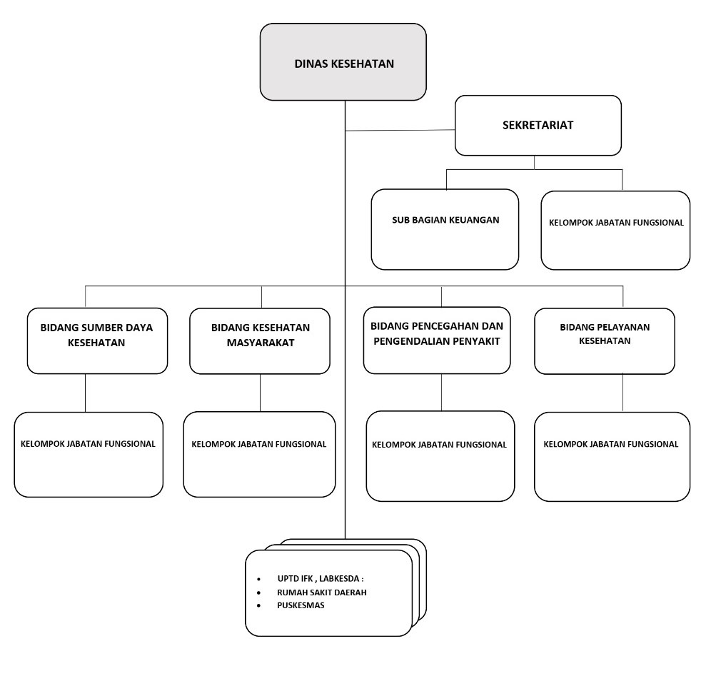 Struktur Organisasi Dinas Pemerintah