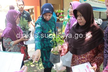 Cegah Stroke dengan Jus Belimbing Kurma